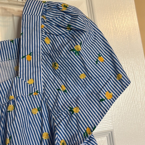 J. Crew women’s blue and white striped lemon short sleeve blouse size XXL - Picture 5 of 8